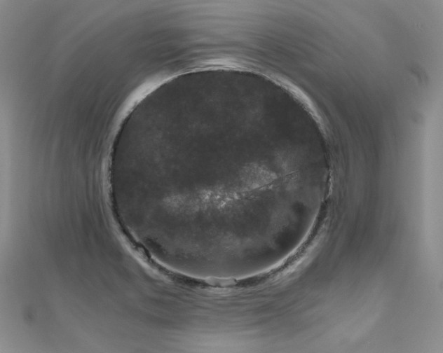 X0000110871373200906181153