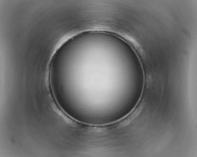 X0000110871374200906181153