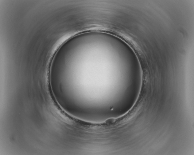 X0000110871375200906181153