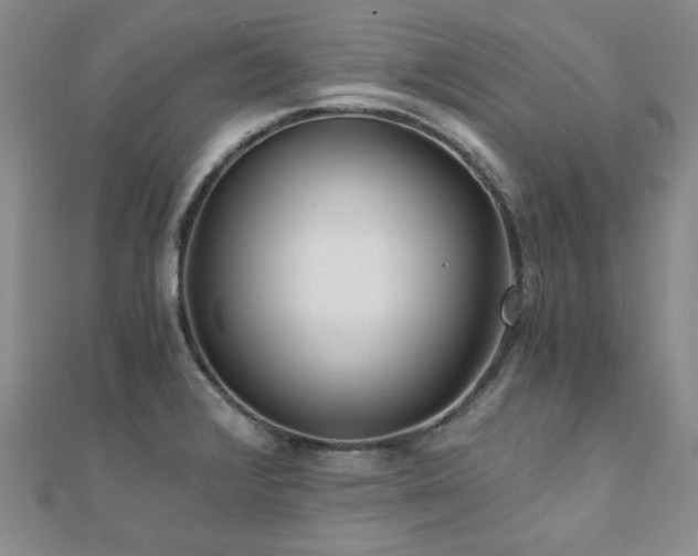 X0000110871376200906181153