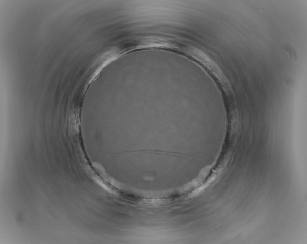 X0000110871377200906181153