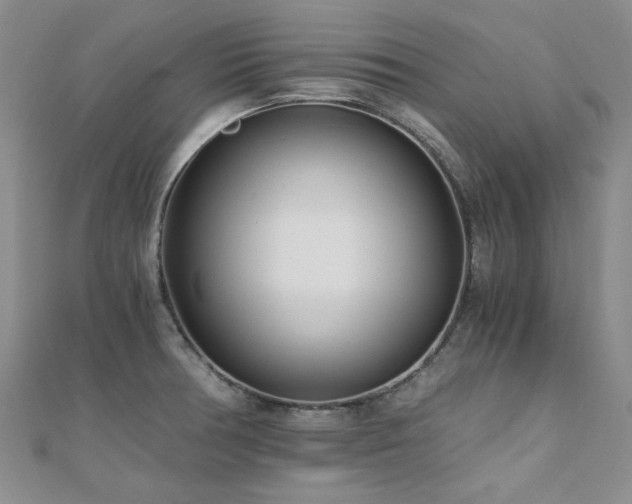 X0000110871378200906181153