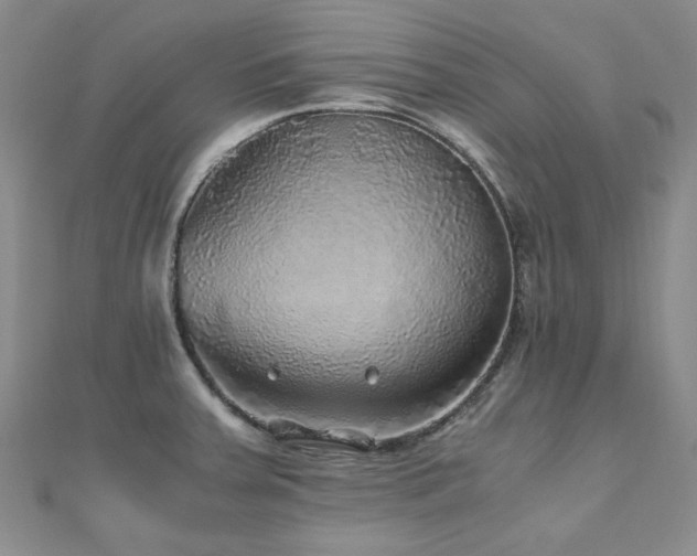 X0000110871379200906181153