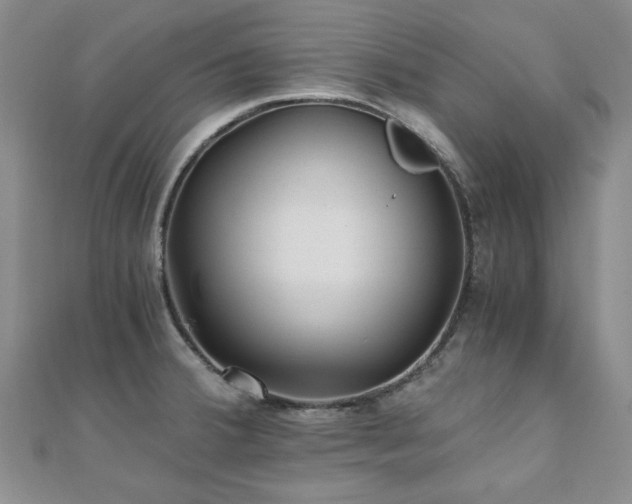 X0000110871380200906181153