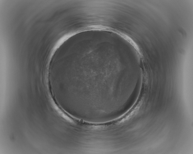 X0000110871381200906181153