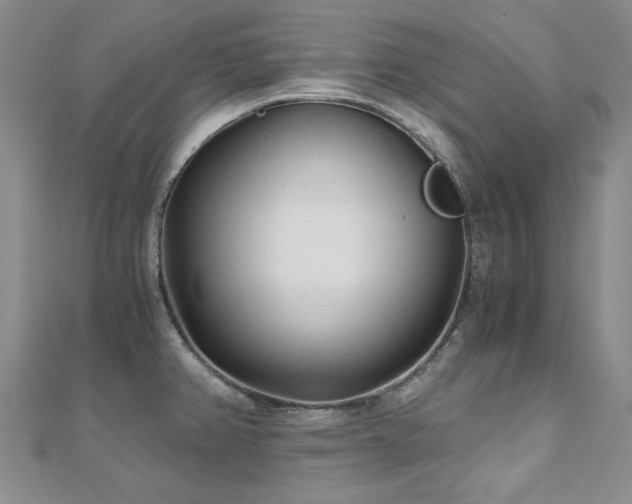 X0000110871382200906181153