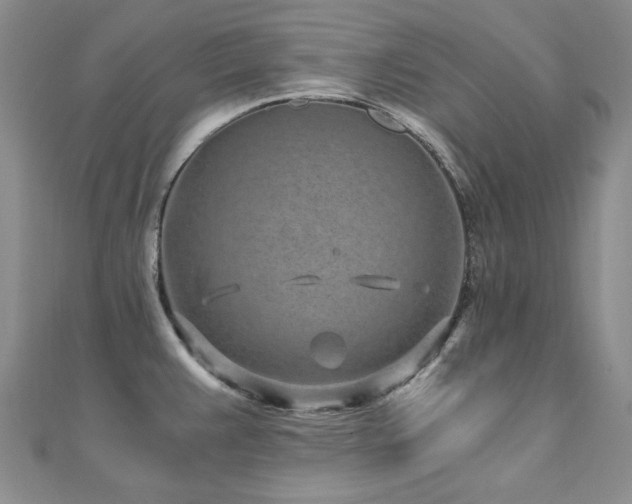 X0000110871383200906181153