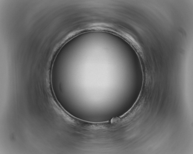 X0000110871384200906181153