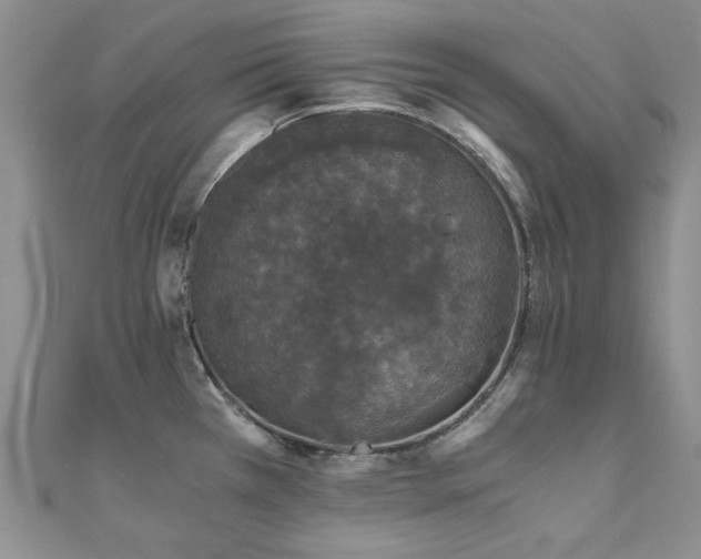 X0000110871385200906181153