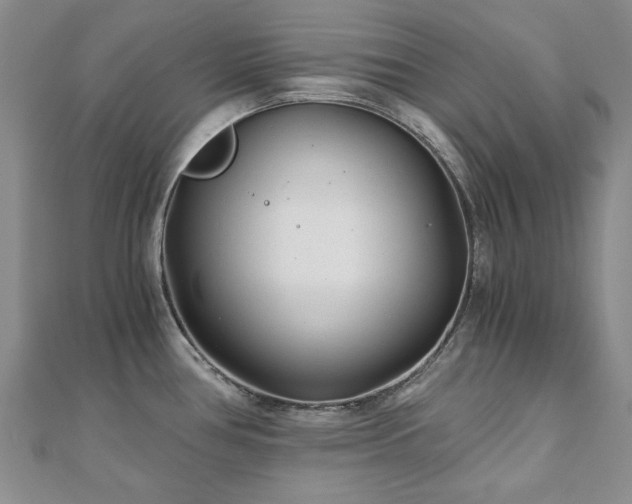 X0000110871386200906181153