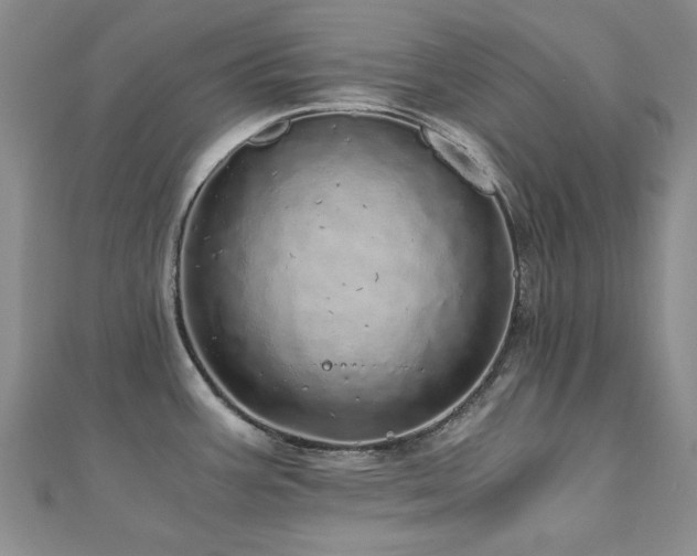 X0000110871387200906181153