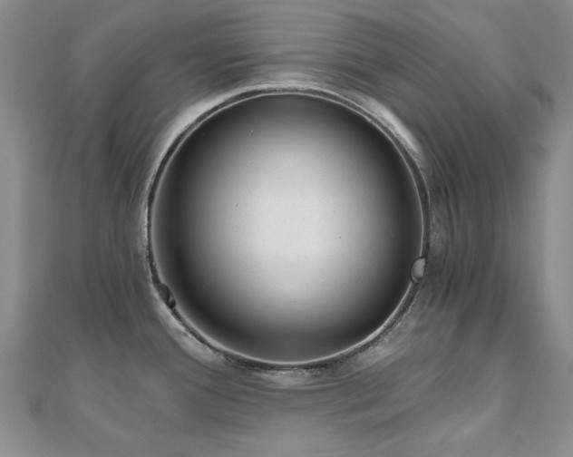 X0000110871388200906181153