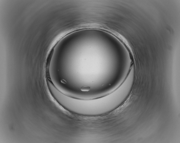 X0000110871389200906181153