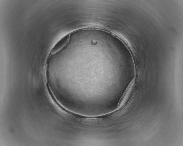 X0000110871391200906181153