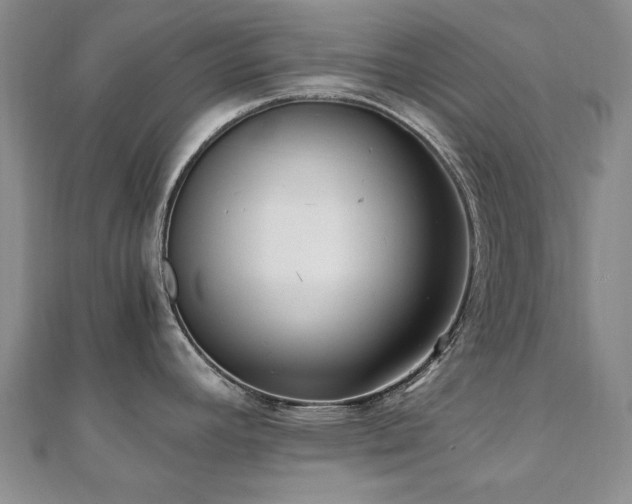 X0000110871392200906181153