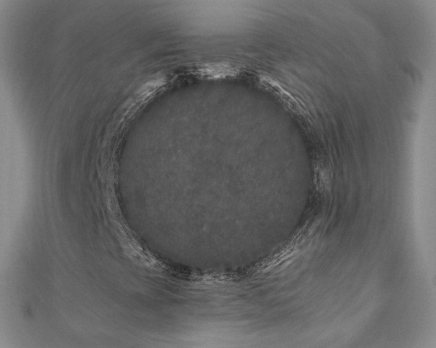 X0000110871393200906181152