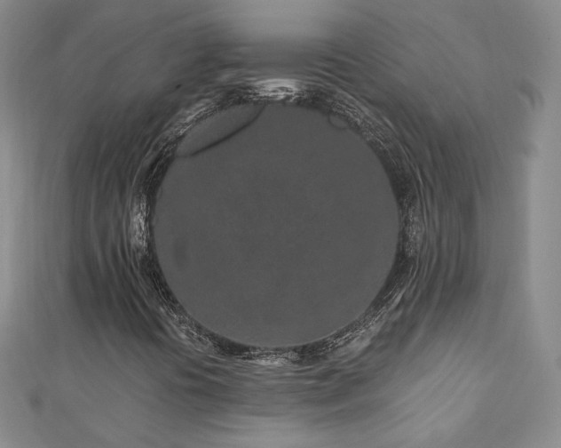 X0000110871394200906181152