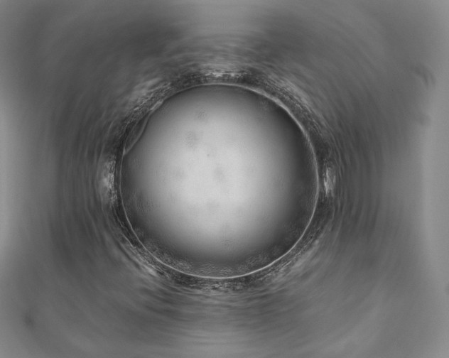 X0000110871396200906181152