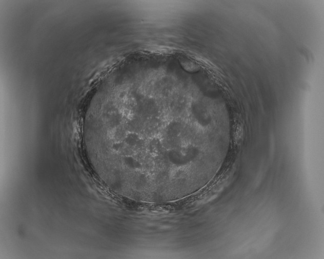 X0000110871397200906181152