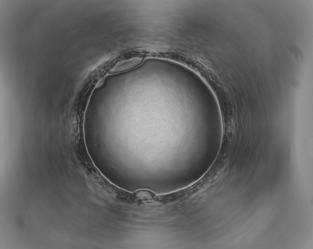 X0000110871398200906181152