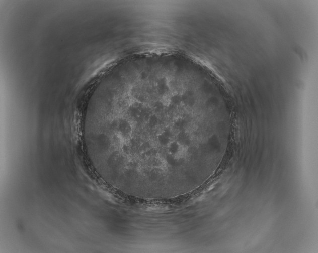 X0000110871399200906181152