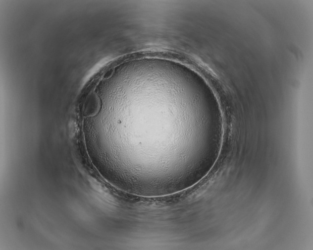 X0000110871400200906181152