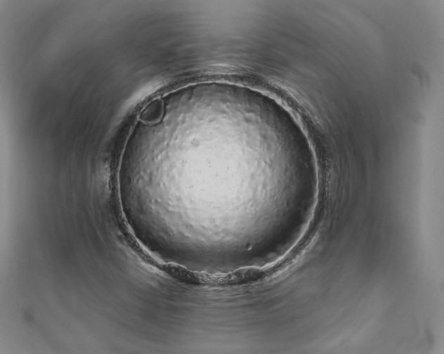 X0000110871402200906181152