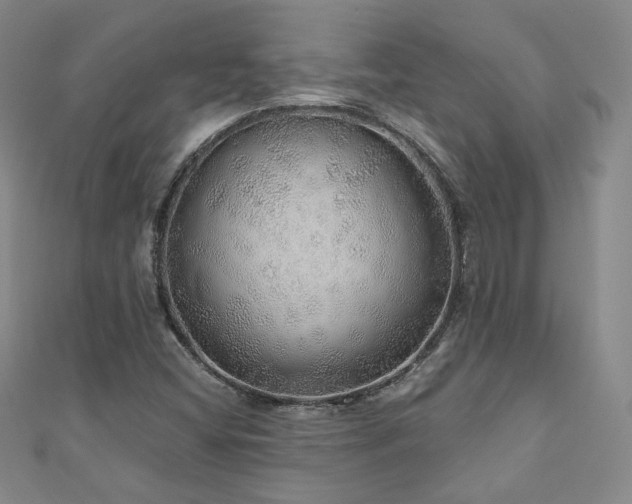 X0000110871404200906181152