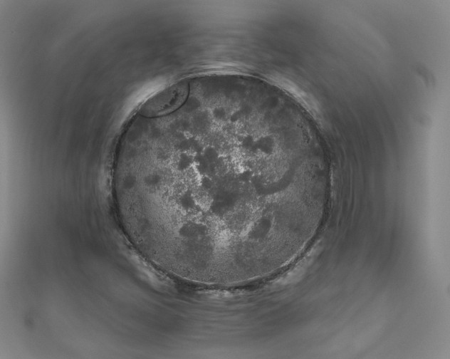 X0000110871405200906181152