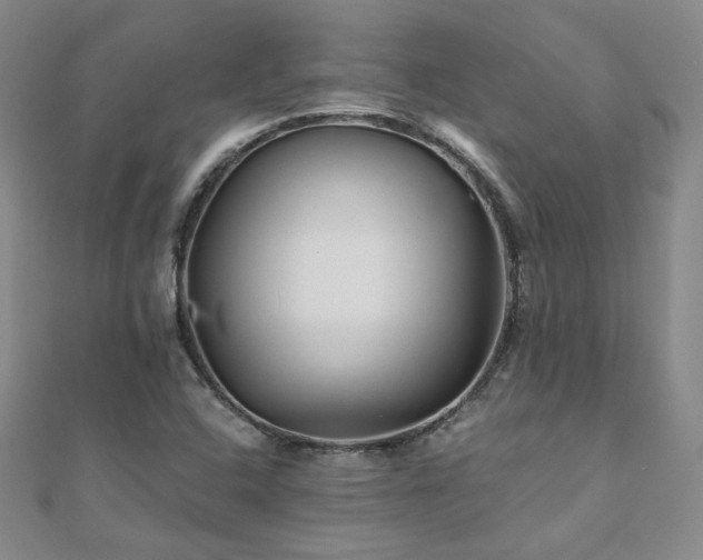 X0000110871408200906181152