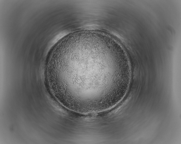 X0000110871410200906181152