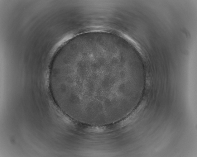 X0000110871411200906181152