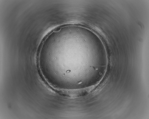 X0000110871412200906181152