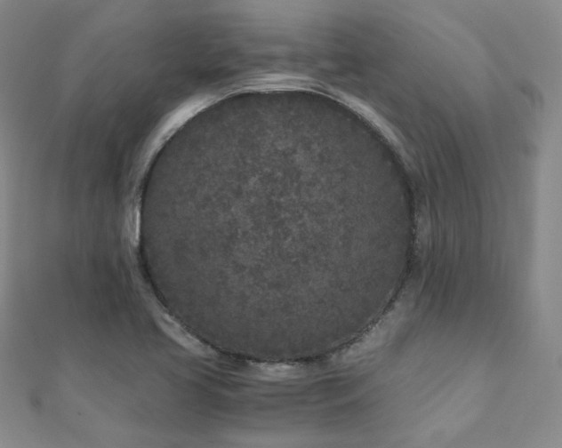 X0000110871413200906181152