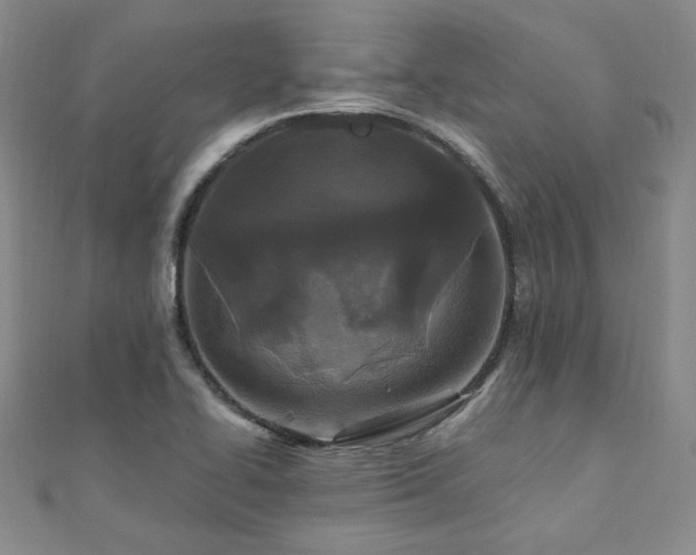 X0000110871414200906181152