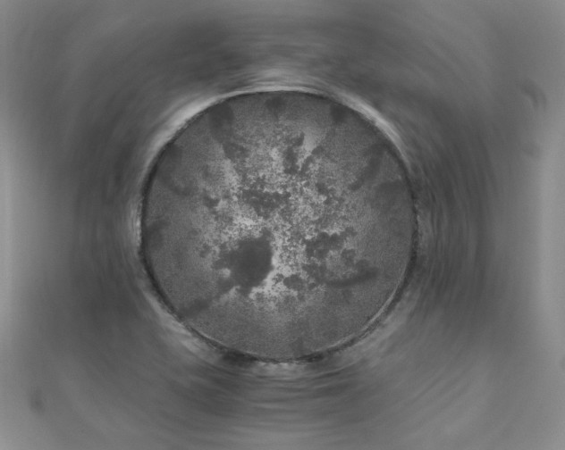 X0000110871415200906181152