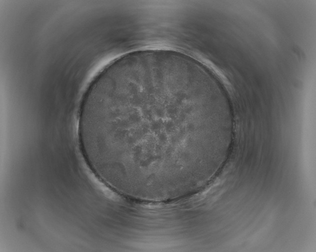 X0000110871416200906181152