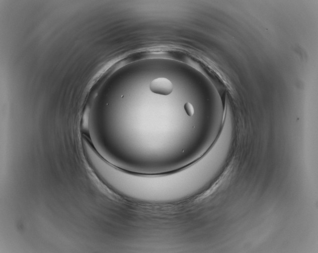 X0000110871417200906181152