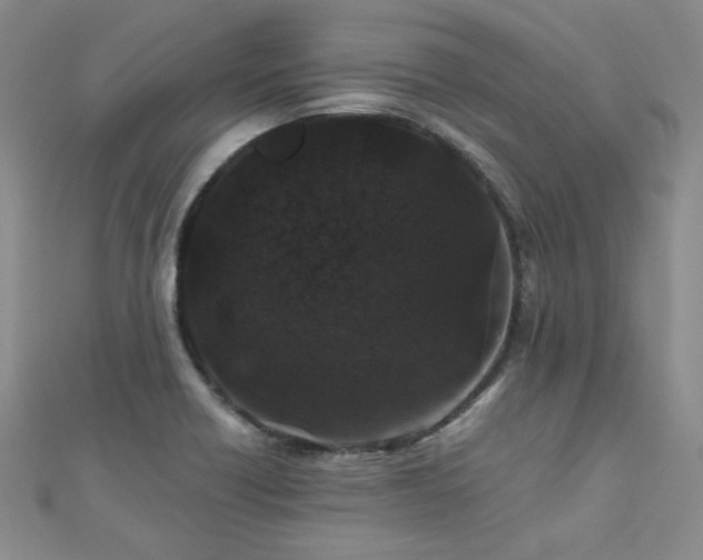 X0000110871418200906181152