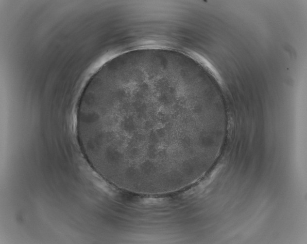 X0000110871419200906181152