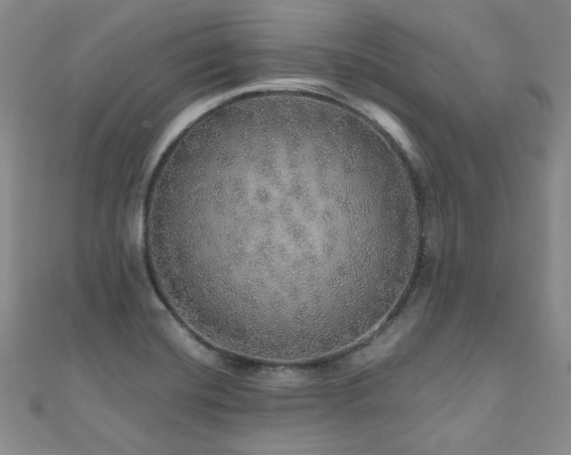 X0000110871420200906181152