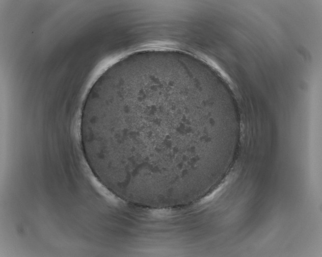 X0000110871421200906181152