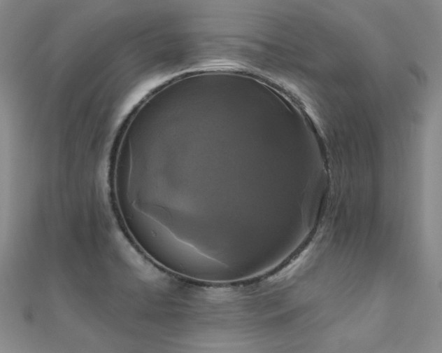 X0000110871422200906181152