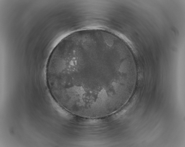 X0000110871423200906181152