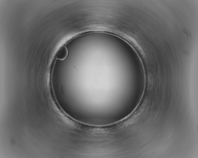 X0000110871424200906181152