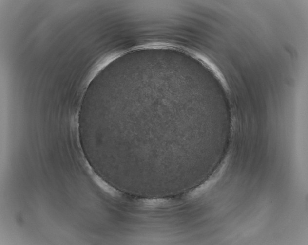 X0000110871425200906181152