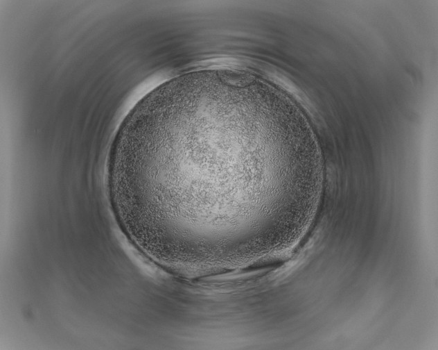 X0000110871426200906181153