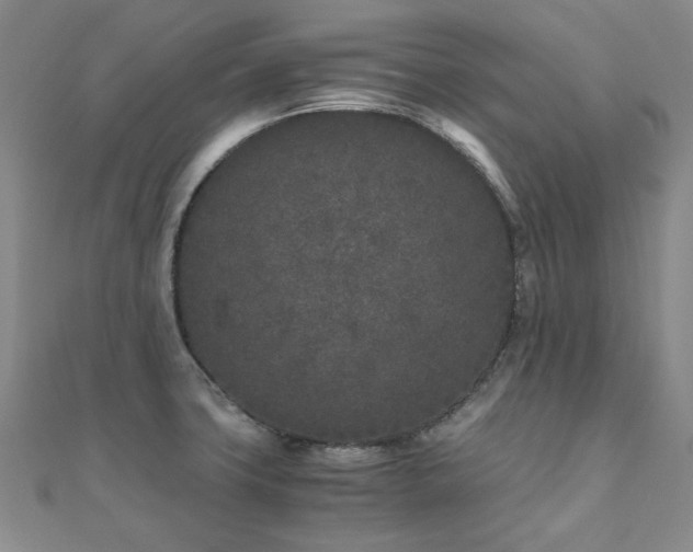 X0000110871427200906181153