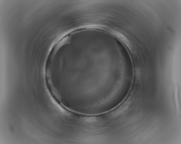 X0000110871428200906181153