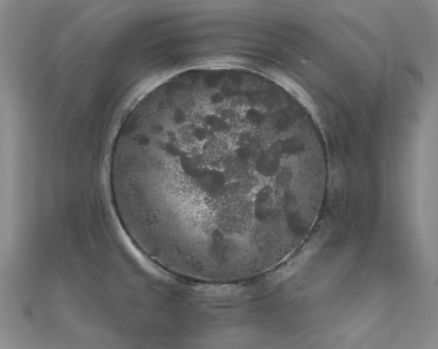 X0000110871429200906181153